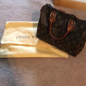 Louis Vuitton Speedy 25 handbag